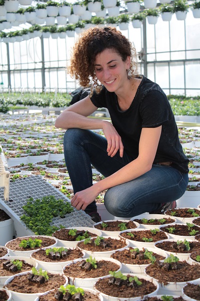 La marque Fleurs de France chez le producteur Dynavert