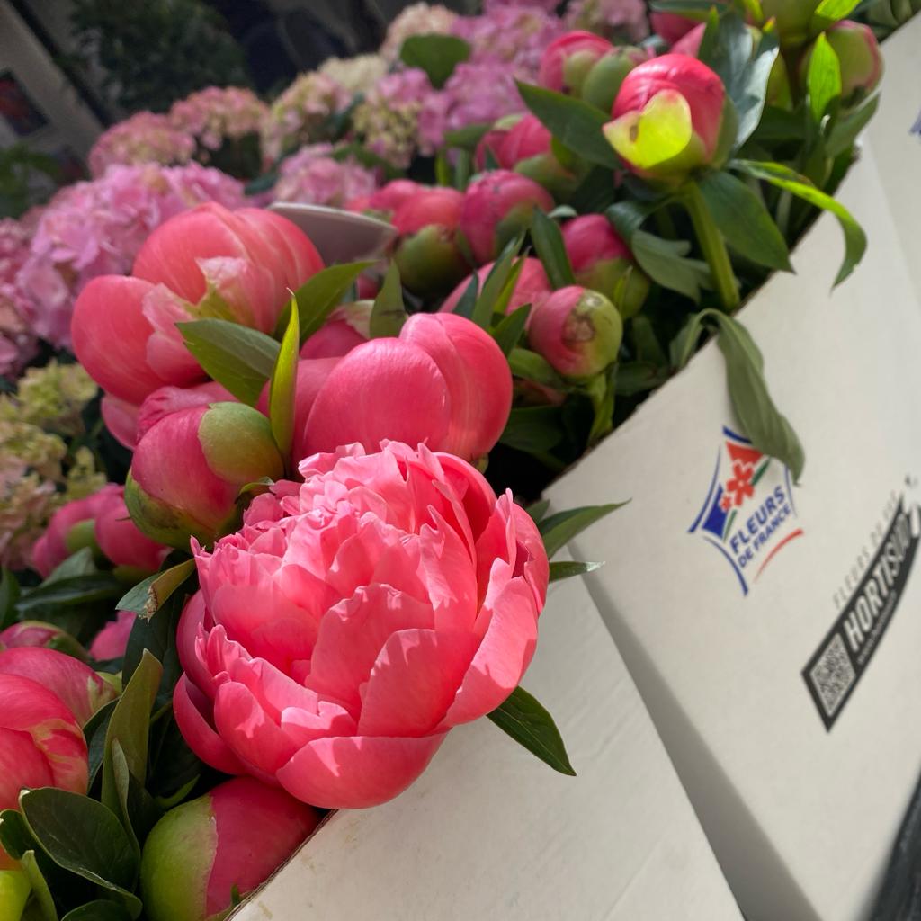Les bassins de production de fleurs coupées en France