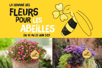 Fleurs de France pour les abeilles !